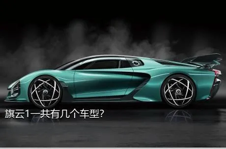 旗云1一共有几个车型？