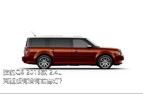 猎豹Q6 2015款 2.4L 两驱版有没有前雾灯？