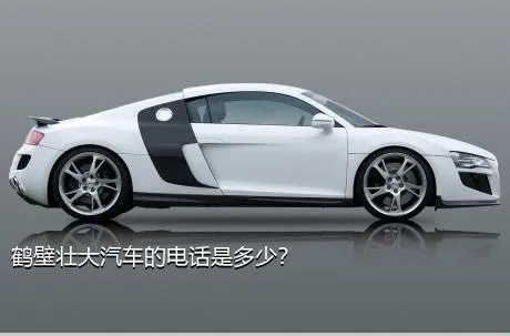 鹤壁壮大汽车的电话是多少？