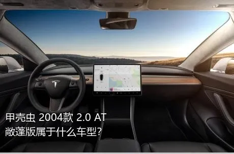 甲壳虫 2004款 2.0 AT 敞蓬版属于什么车型？