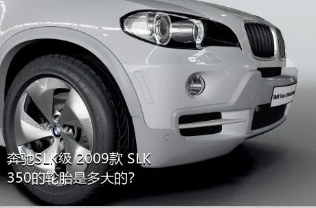 奔驰SLK级 2009款 SLK 350的轮胎是多大的？