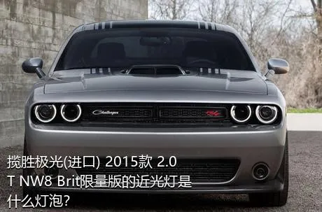 揽胜极光(进口) 2015款 2.0T NW8 Brit限量版的近光灯是什么灯泡？