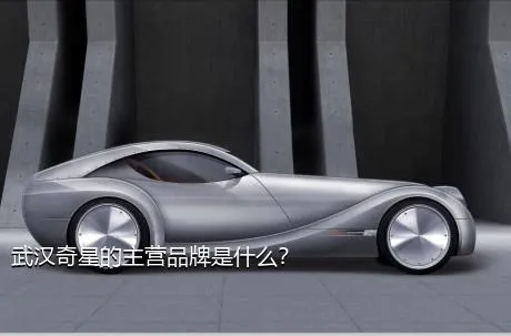 武汉奇星的主营品牌是什么？