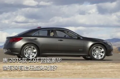 唐 2015款 2.0T 四驱豪华型有没有胎压监测功能？