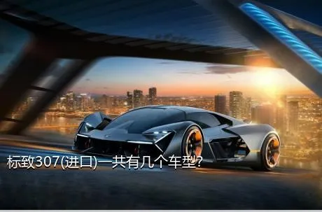 标致307(进口)一共有几个车型？