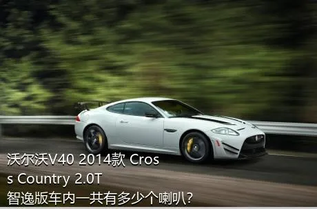 沃尔沃V40 2014款 Cross Country 2.0T 智逸版车内一共有多少个喇叭？