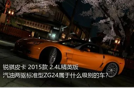 锐骐皮卡 2015款 2.4L精英版汽油两驱标准型ZG24属于什么级别的车？