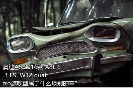奥迪A8 2016款 A8L 6.3 FSI W12 quattro旗舰型属于什么级别的车？