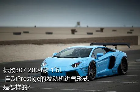 标致307 2004款 1.6L 自动Prestige的发动机进气形式是怎样的？