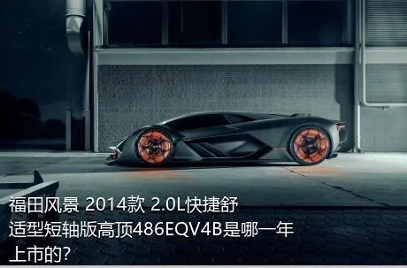 福田风景 2014款 2.0L快捷舒适型短轴版高顶486EQV4B是哪一年上市的？