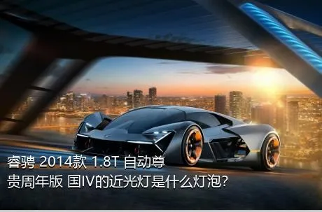 睿骋 2014款 1.8T 自动尊贵周年版 国IV的近光灯是什么灯泡？