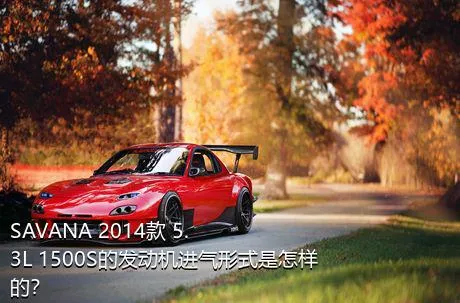 SAVANA 2014款 5.3L 1500S的发动机进气形式是怎样的？
