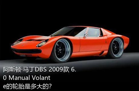 阿斯顿·马丁DBS 2009款 6.0 Manual Volante的轮胎是多大的？