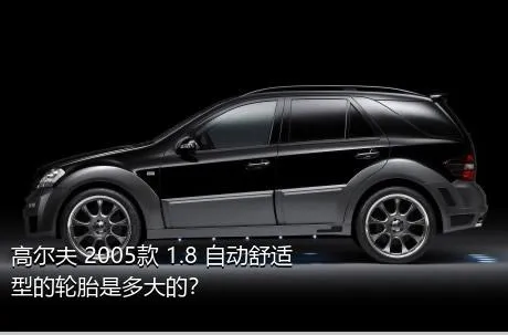 高尔夫 2005款 1.8 自动舒适型的轮胎是多大的？