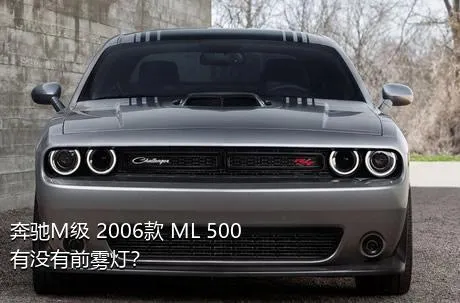奔驰M级 2006款 ML 500有没有前雾灯？