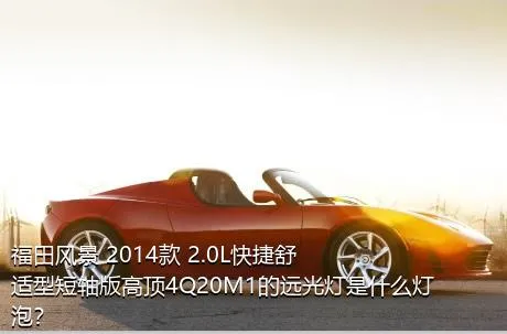 福田风景 2014款 2.0L快捷舒适型短轴版高顶4Q20M1的远光灯是什么灯泡？