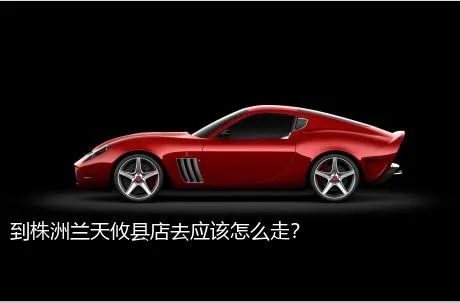 到株洲兰天攸县店去应该怎么走？