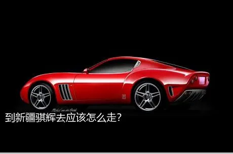 到新疆骐辉去应该怎么走？