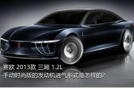 赛欧 2013款 三厢 1.2L 手动时尚版的发动机进气形式是怎样的？
