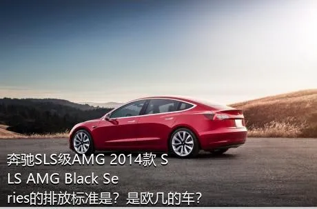 奔驰SLS级AMG 2014款 SLS AMG Black Series的排放标准是？是欧几的车？
