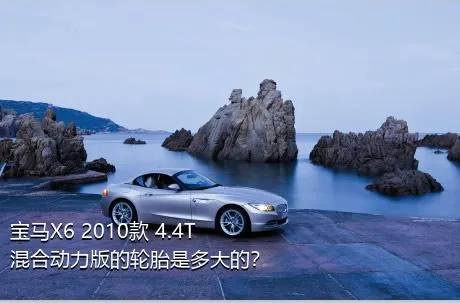 宝马X6 2010款 4.4T 混合动力版的轮胎是多大的？