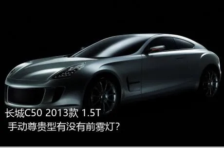 长城C50 2013款 1.5T 手动尊贵型有没有前雾灯？