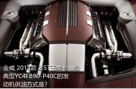 金威 2014款 2.5T玉柴长轴经典型YC4FB90-P40C的发动机供油方式是？