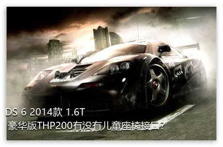 DS 6 2014款 1.6T 豪华版THP200有没有儿童座椅接口？