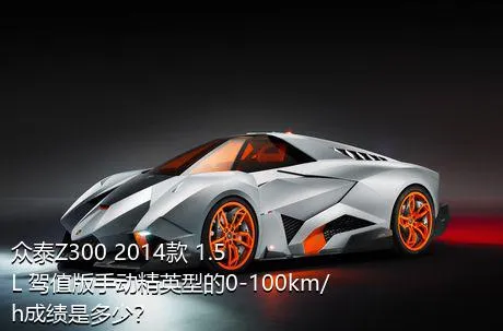 众泰Z300 2014款 1.5L 驾值版手动精英型的0-100km/h成绩是多少？