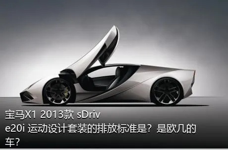 宝马X1 2013款 sDrive20i 运动设计套装的排放标准是？是欧几的车？