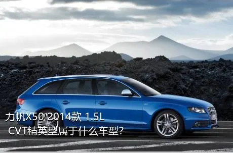 力帆X50 2014款 1.5L CVT精英型属于什么车型？