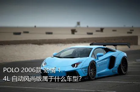 POLO 2006款 劲情 1.4L 自动风尚版属于什么车型？