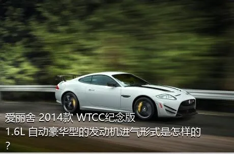 爱丽舍 2014款 WTCC纪念版 1.6L 自动豪华型的发动机进气形式是怎样的？