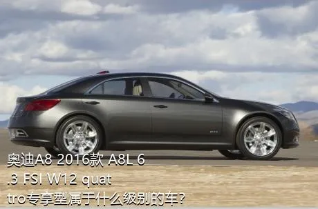 奥迪A8 2016款 A8L 6.3 FSI W12 quattro专享型属于什么级别的车？
