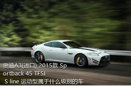 奥迪A3(进口) 2015款 Sportback 45 TFSI S line 运动型属于什么级别的车？