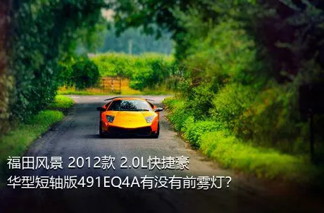 福田风景 2012款 2.0L快捷豪华型短轴版491EQ4A有没有前雾灯？
