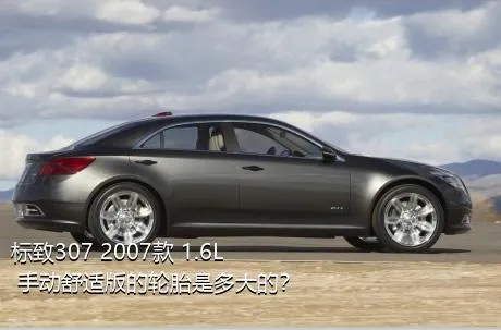 标致307 2007款 1.6L 手动舒适版的轮胎是多大的？