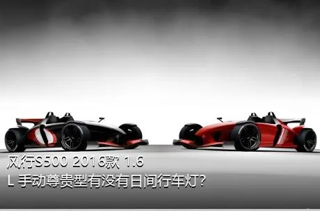 风行S500 2016款 1.6L 手动尊贵型有没有日间行车灯？