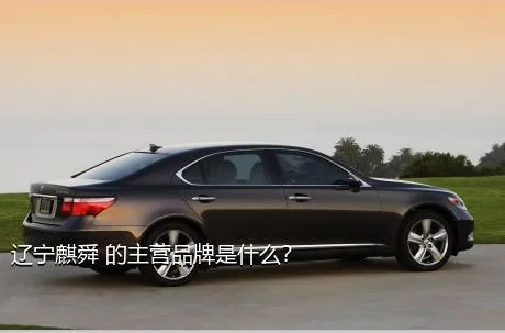 辽宁麒舜 的主营品牌是什么？
