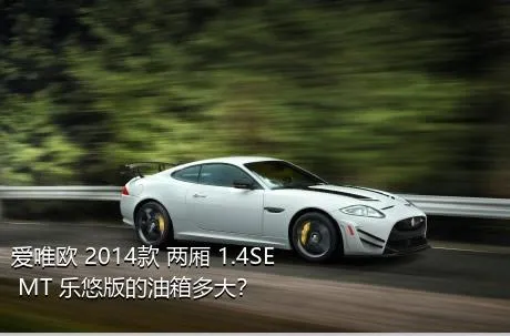 爱唯欧 2014款 两厢 1.4SE MT 乐悠版的油箱多大？