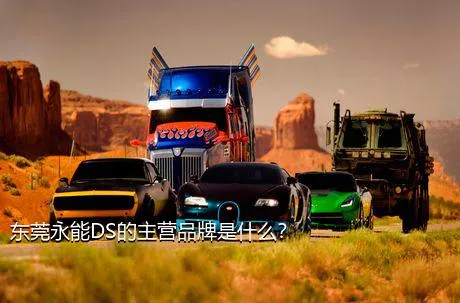 东莞永能DS的主营品牌是什么？