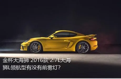 金杯大海狮 2016款 2.7L大海狮L领航型有没有前雾灯？