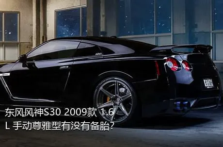 东风风神S30 2009款 1.6L 手动尊雅型有没有备胎？