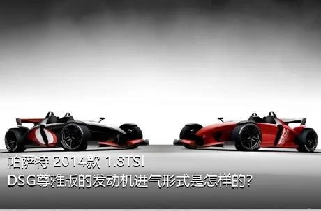 帕萨特 2014款 1.8TSI DSG尊雅版的发动机进气形式是怎样的？