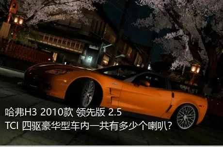 哈弗H3 2010款 领先版 2.5TCI 四驱豪华型车内一共有多少个喇叭？