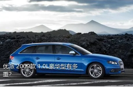 优派 2009款 1.0L豪华型有多重？