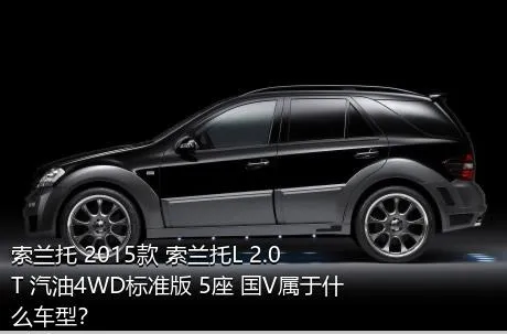 索兰托 2015款 索兰托L 2.0T 汽油4WD标准版 5座 国V属于什么车型？