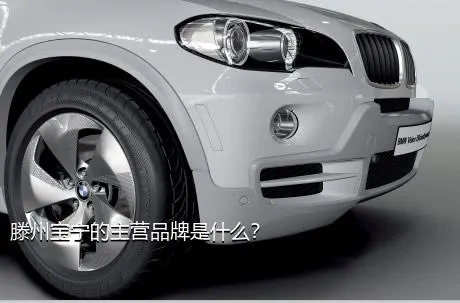 滕州宝宁的主营品牌是什么？