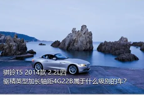 骐铃T5 2014款 2.2L四驱精英型加长轴距4G22B属于什么级别的车？
