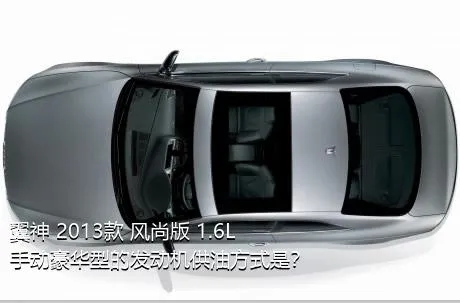 翼神 2013款 风尚版 1.6L 手动豪华型的发动机供油方式是？